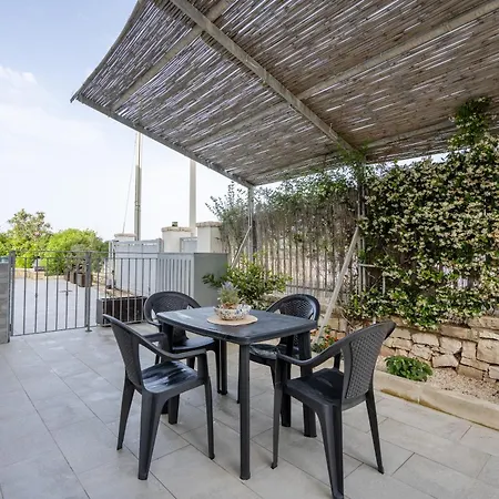 Gufo Di Mare - Celeste